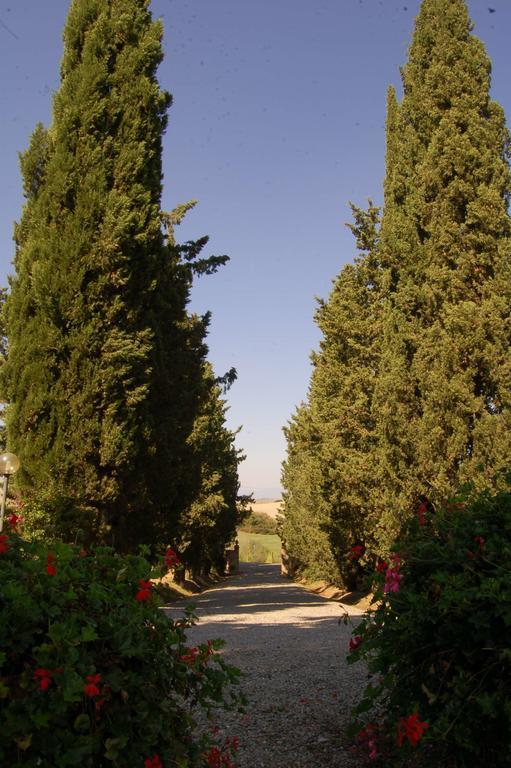 Agriturismo San Francesco Amalia And Anna Orciatico Exteriör bild