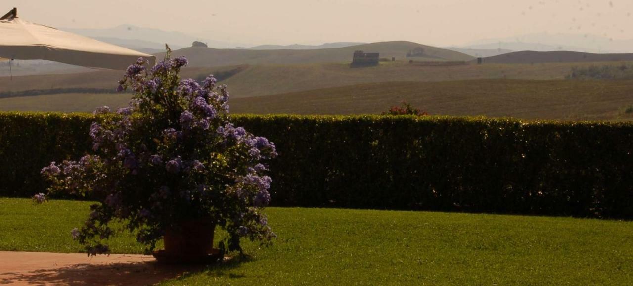 Agriturismo San Francesco Amalia And Anna Orciatico Exteriör bild